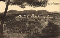 POSTAL San Pablo de la VENDIMIA de las paredes viejas del VAr