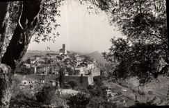 POSTAL San Pablo de la VENDIMIA de Vence visto a través de los aceituna-árboles
