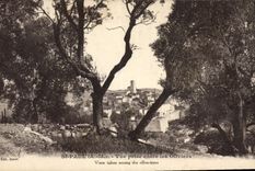 POSTAL San Pablo de la VENDIMIA vista entre los Aceituna-árboles