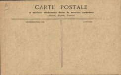 CPA Femme Nu erotique la favorite