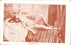 CPA Femme Nu erotique la favorite