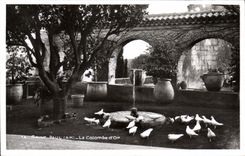 POSTAL San Pablo de la VENDIMIA la paloma del oro