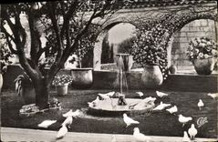 CPA Saint Paul De Vence La Colombe d'or Jardin Provencal