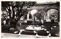 VINTAGE POSTCARD Saint Paul De Vence the Gold Dove View