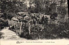 CPA Foret De Fontainebleau La Roche Eponge