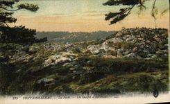 VINTAGE POSTCARD Fontainebleau the Drill throats of Apremont