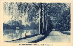 CPA Palais De Fontainebleau Allee De Sully