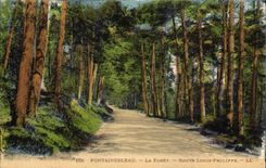 CPA Fontainebleau La Foret Route Louis Philippe