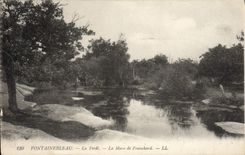 CPA Fontainebleau La Foret La mare de Franchard