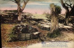 CPA Foret De Fontainebleau La fontaine des ermites