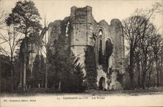 VINTAGE POSTCARD Dammarie Lilies Ruins