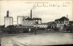 VINTAGE POSTCARD Brewery of Champigneulles