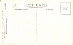 CPA Illustrateur Homme Chat Chaton Donald Mc Gill