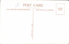 CPA Illustrateur Enfants Right Picked for you 