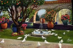 CPA Saint Paul De Vence La Colombe d'Or Jardin provencal