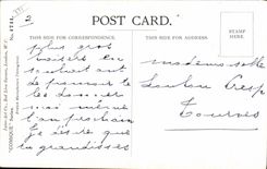 CPA Fantaisie Illustrateur Enfant Donald Mc Gill