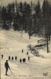 VINTAGE POSTCARD Winter sports Ski Skiers Alpine hunters