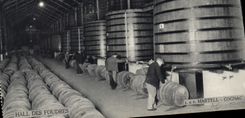 CPA Alcool Hall des foudres Martelle Cognac