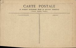 CPA Nu erotique Femme Chrysantheme