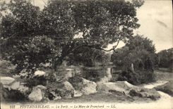 CPA Fontainebleau La foret la mare de Franchard