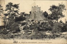 CPA Palais de Fontainebleau Vue Sur la Tour Denecourt
