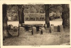 VINTAGE POSTCARD Drill of Fontainebleau the tbale of the king