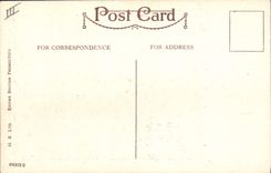 VINTAGE POSTCARD Illustrator Children Dog