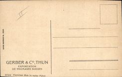 Publicidad del trineo largo del esquí de los deportes de invierno de la POSTAL de la VENDIMIA para apilar la exportación del queso suizo