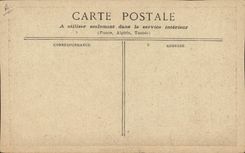 CPA Nu erotique Femme Chrysantheme 