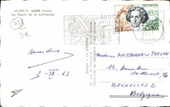 MODERN CARD Laon Oxen of the Cathedral