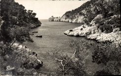 MODERN CARD Bay of Blackcurrant Creek of Port Pine