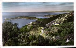 POSTAL Eze de la VENDIMIA el cabo Ferrat y Esterel vistos de la cornisa grande