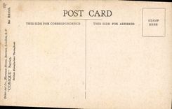 VINTAGE POSTCARD Illustrator Woman Bathing suit Dog