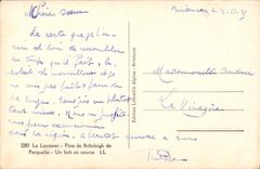 VINTAGE POSTCARD Winter sports Ski Lautaret Tracks Bobsleigh of Perquelin a bob in race