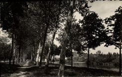 CPM Soissons Promenades du Mail