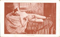 CPA Nu erotique Femme La favorite