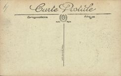 CPA Militaria Les fetes de la Victoire 14 juillet 1919 Les aviateurs