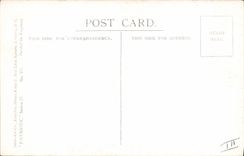 CPA Illustrateur Hats off Militaria Belgique Belgium Drapeau