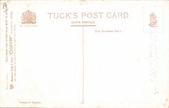 VINTAGE POSTCARD Illustrator Children Chicks