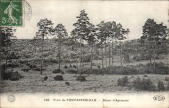CPA Foret de Fontainebleau Desert d'Apremont