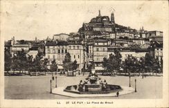 VINTAGE POSTCARD Puy in Velay the Place of Breuil