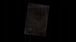 Photograph Scout Scouting Jamboree Scouts motant in branches