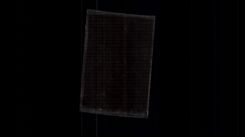 Photograph Scout Scouting Jamboree Oath in front of a priest