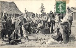 VINTAGE POSTCARD Militaria Camp of Sissonne Weeding of potatoes