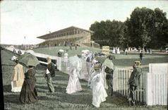 VINTAGE POSTCARD Horse Horsemanship Hippisme Paris races of Auteuil Beautiful Flower stand