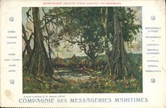 CPA Bateau Compagnie des Messageries Maritimes Genevriers geants pays Kikuyu Via Mombasa