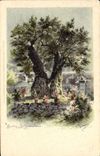 VINTAGE POSTCARD Fantasy Illustrator Tree