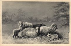 CPA Fantaisie Illustrateur Moutons 