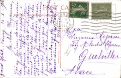 VINTAGE POSTCARD Fantasy Illustrator Duck Dog Right egg