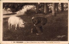 CPA Cochon Porc Folklore en Perigord Deux chercheurs de truffes Fructueuse trouvaille